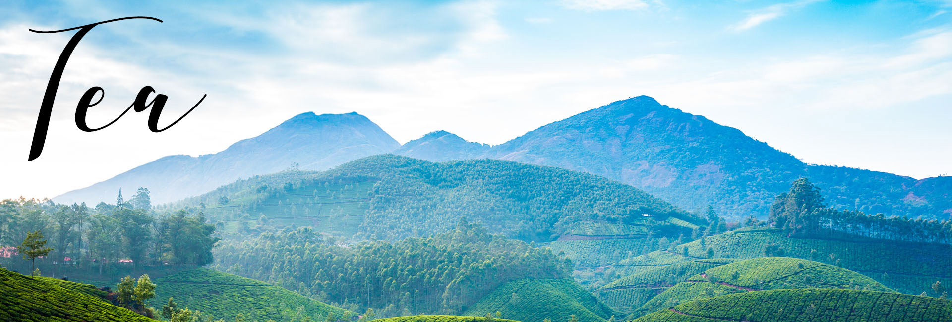 Termék háttérkép